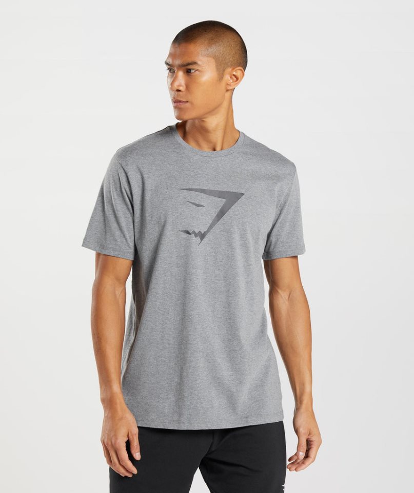 Men\'s Gymshark Sharkhead Infill T-Shirts Grey | NZ 0MIAOD